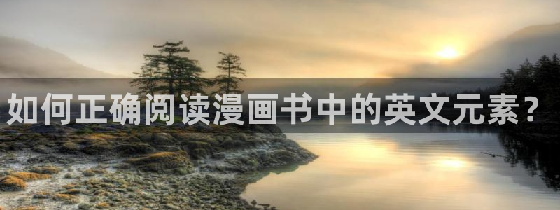 日本羞羞漫画无遮挡：如何正确阅读漫画书中的英文元素？